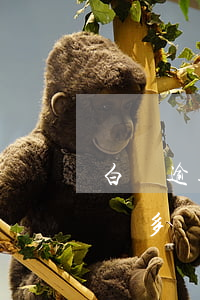 白條逾期會(huì)被仲裁嗎(白條逾期一萬多會(huì)不會(huì)被起訴)
