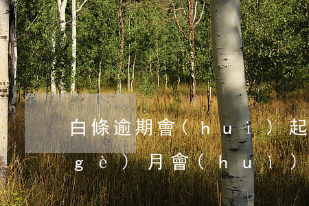 白條逾期會(huì)起訴(白條逾期一個(gè)月會(huì)起訴嗎)