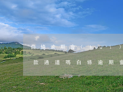 白條逾期會(huì)關(guān)閉還款通道嗎 白條逾期會(huì)關(guān)閉還款通道嗎