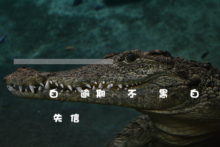 白條逾期會不會黑戶 白條逾期多久會被列入失信