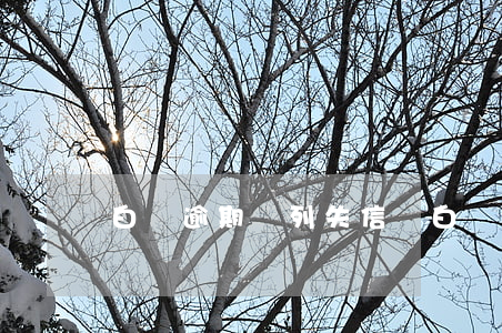 白條逾期會列失信嗎(白條逾期什么后果)