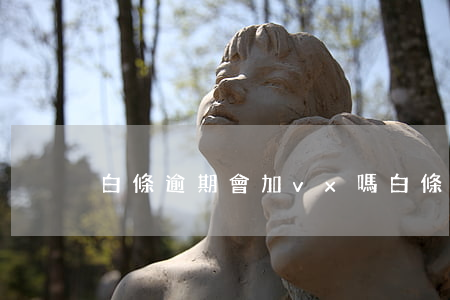 白條逾期會加vx嗎(白條能不能逾期)