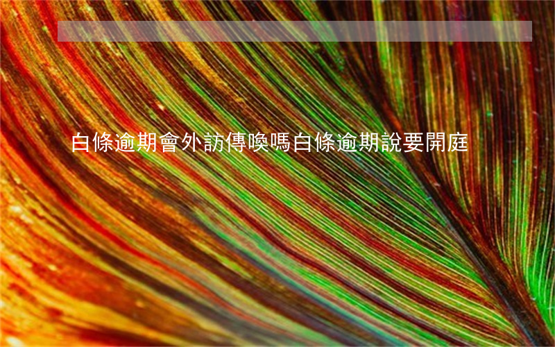 白條逾期會外訪傳喚嗎(白條逾期說要開庭)