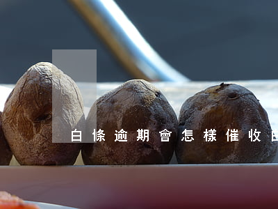 白條逾期會怎樣催收(白條逾期催收流程)