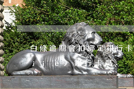 白條逾期會扣綁定銀行卡(白條不還會凍結(jié)銀行卡嗎)