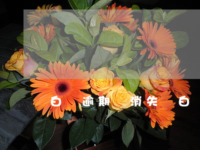 白條逾期會消失嗎 白條逾期 有沒有不還的