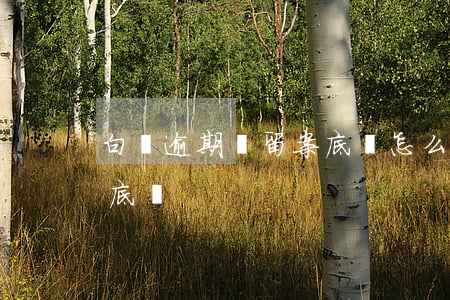 白條逾期會留案底嗎怎么辦（白條逾期會留案底嗎）