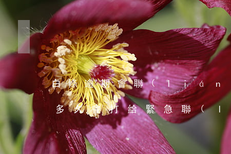 白條逾期會聯(lián)系家人(白條逾期多久會打給緊急聯(lián)系人)