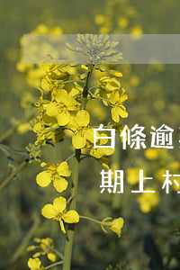 白條逾期會聯(lián)系村委嗎（白條逾期上村委是真的嗎）