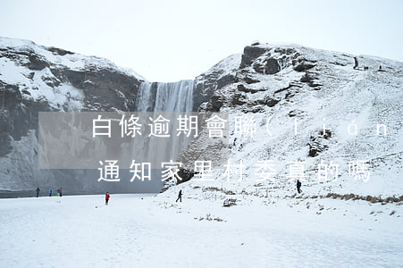 白條逾期會聯(lián)系村委(白條說要通知家里村委,真的嗎)