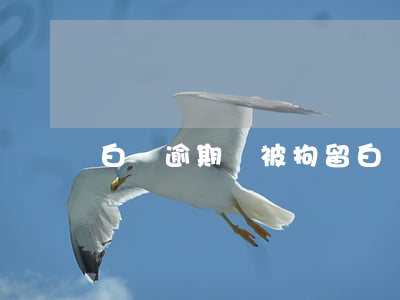 白條逾期會被拘留(白條不小心逾期)