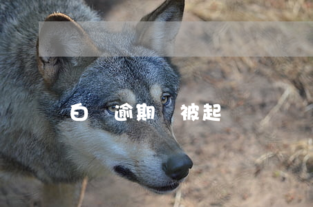 白條逾期會被起訴
