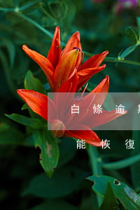 白條逾期會降信用卡嗎(白條逾期降額度多久能恢復(fù))