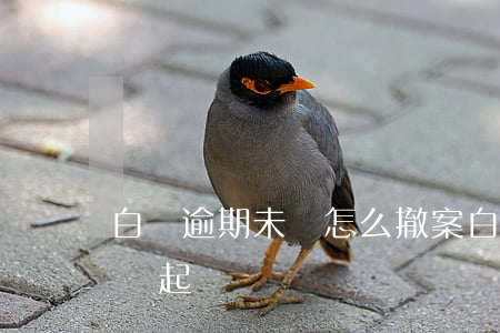 白條逾期未還怎么撤案(白條還了逾期部分還會起訴嗎)