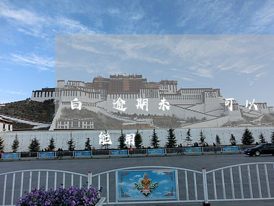 白條逾期未還還可以購物么(白條逾期還清了還能用嗎)