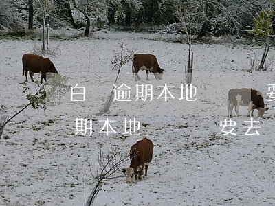 白條逾期本地號碼說要去單位核實-白條逾期本地號碼說要去單位核實是真的嗎