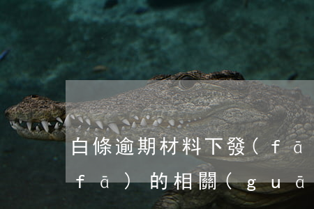 白條逾期材料下發(fā)(白條逾期下發(fā)的相關(guān)函件是什么)