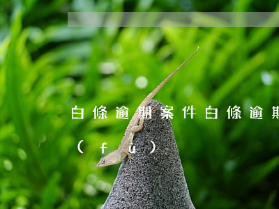 白條逾期案件(白條逾期案件已提交后果自負(fù))