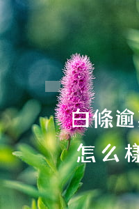 白條逾期欠一萬(wàn)多會(huì)怎么樣（白條欠款逾期一個(gè)月還最低）