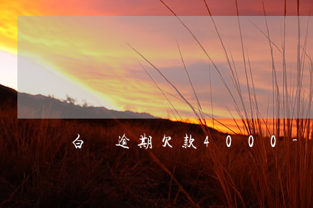 白條逾期欠款4000-白條2000逾期