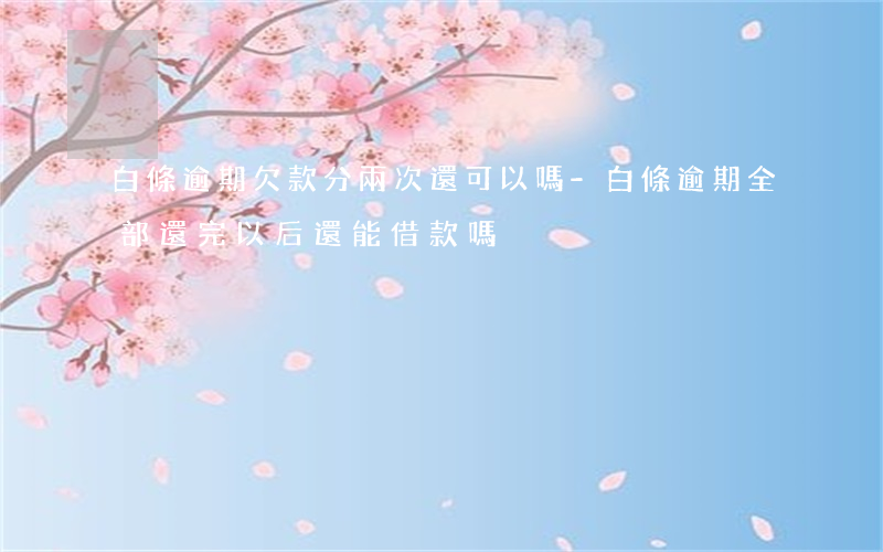 白條逾期欠款分兩次還可以嗎-白條逾期,全部還完以后還能借款嗎