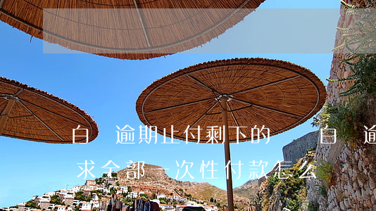白條逾期止付剩下的賬單(白條逾期還清后要求全部一次性付款怎么辦)