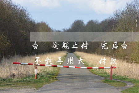 白條逾期止付換完后(白條逾期了三天還清后不能再用大額付款)