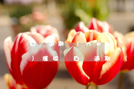 白條逾期沒(méi)還全款還會(huì)催收嗎(白條逾期沒(méi)還全款還會(huì)催收嗎)