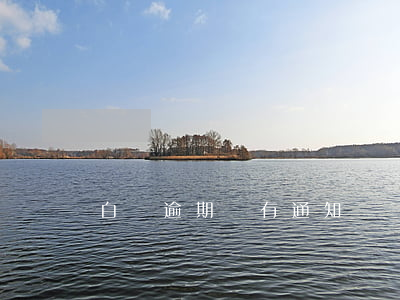 白條逾期沒有通知