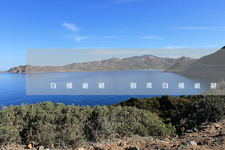白條逾期沒額度(白條逾期沒有上征信)