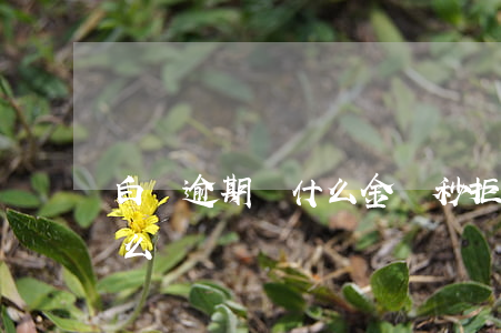 白條逾期為什么金條秒拒(白條和金條逾期怎么辦)