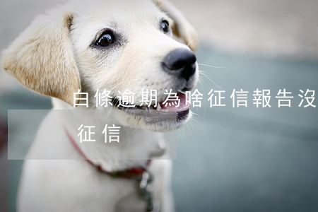 白條逾期為啥征信報告沒有(白條沒逾期會上征信)