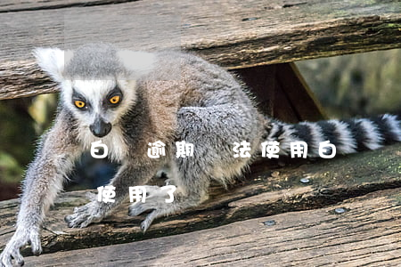 白條逾期無法使用 白條沒有逾期有風險暫停使用了