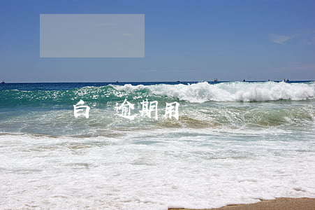 白條逾期用戶