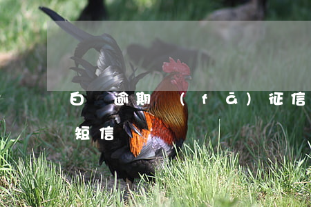 白條逾期發(fā)征信短信(白條逾期沒有短信)