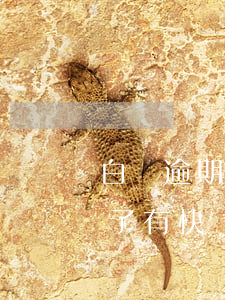 白條逾期發(fā)快遞直接代收 白條逾期了有快遞員打我電話
