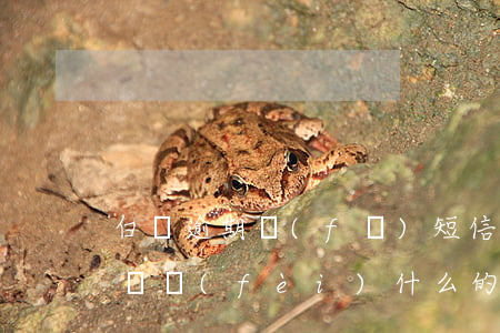 白條逾期發(fā)短信說(shuō)起訴費(fèi)什么的(白條逾期多少錢會(huì)被起訴)