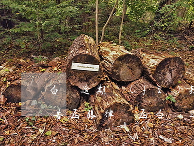 白條逾期發(fā)短信說(shuō)通告函跟律師函（白條逾期多久下催告函）