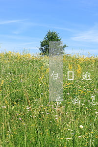 白條逾期發(fā)短信通告函(白條收到通告函怎么辦)