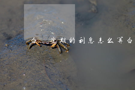 白條逾期的利息怎么算 白條的利息怎么算的