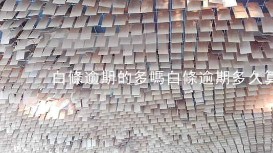 白條逾期的多嗎(白條逾期多久算是很嚴重)