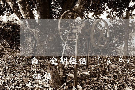 白條逾期短信內(nèi)容(白條逾期一天征信)