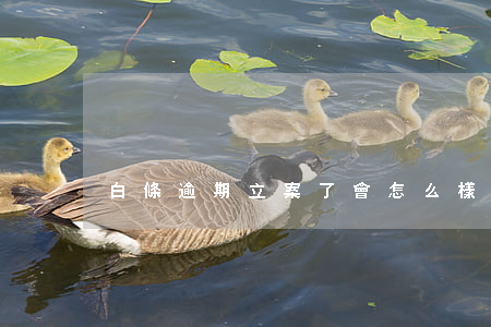 白條逾期立案了會怎么樣