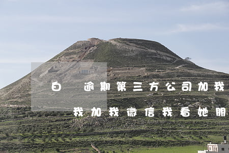 白條逾期第三方公司加我微信 白條逾期有人來我加我微信我看她朋友圈是做微商的