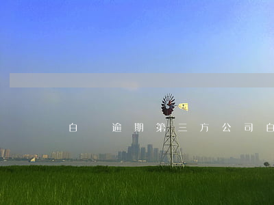 白條逾期第三方公司(白條逾期第三方公司)