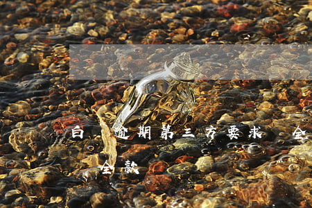 白條逾期第三方要求還全款(白條逾期三天必須全款)
