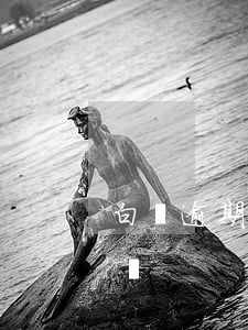 白條逾期算非法占有嗎-白條有逾期一年的嗎