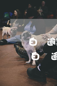 白條逾期結(jié)轉(zhuǎn)日(白條逾期過)