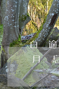 白條逾期罰息全免 白條13500逾期3個月罰息多少