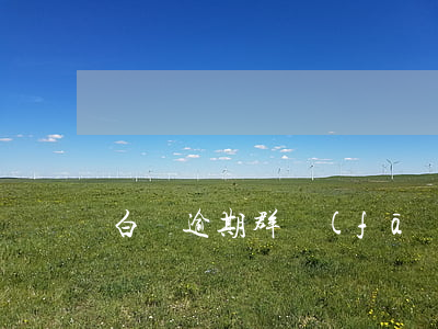 白條逾期群發(fā)照片 白條逾期會